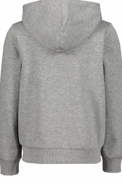 basic zip hood jr