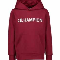 hooded sweatshirt b jr