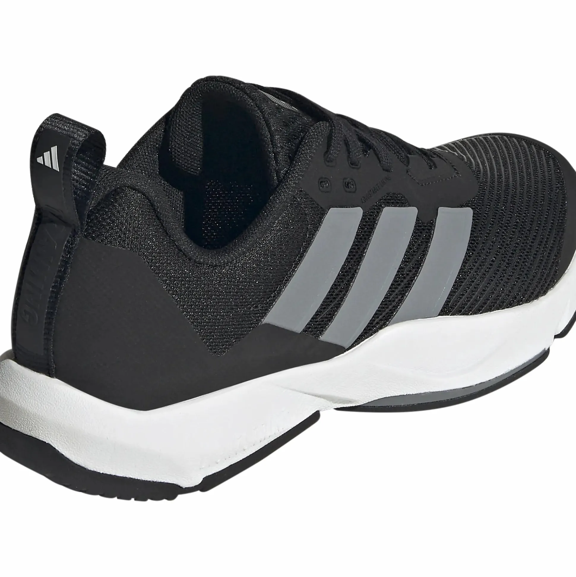 rapidmove 2 trainer w