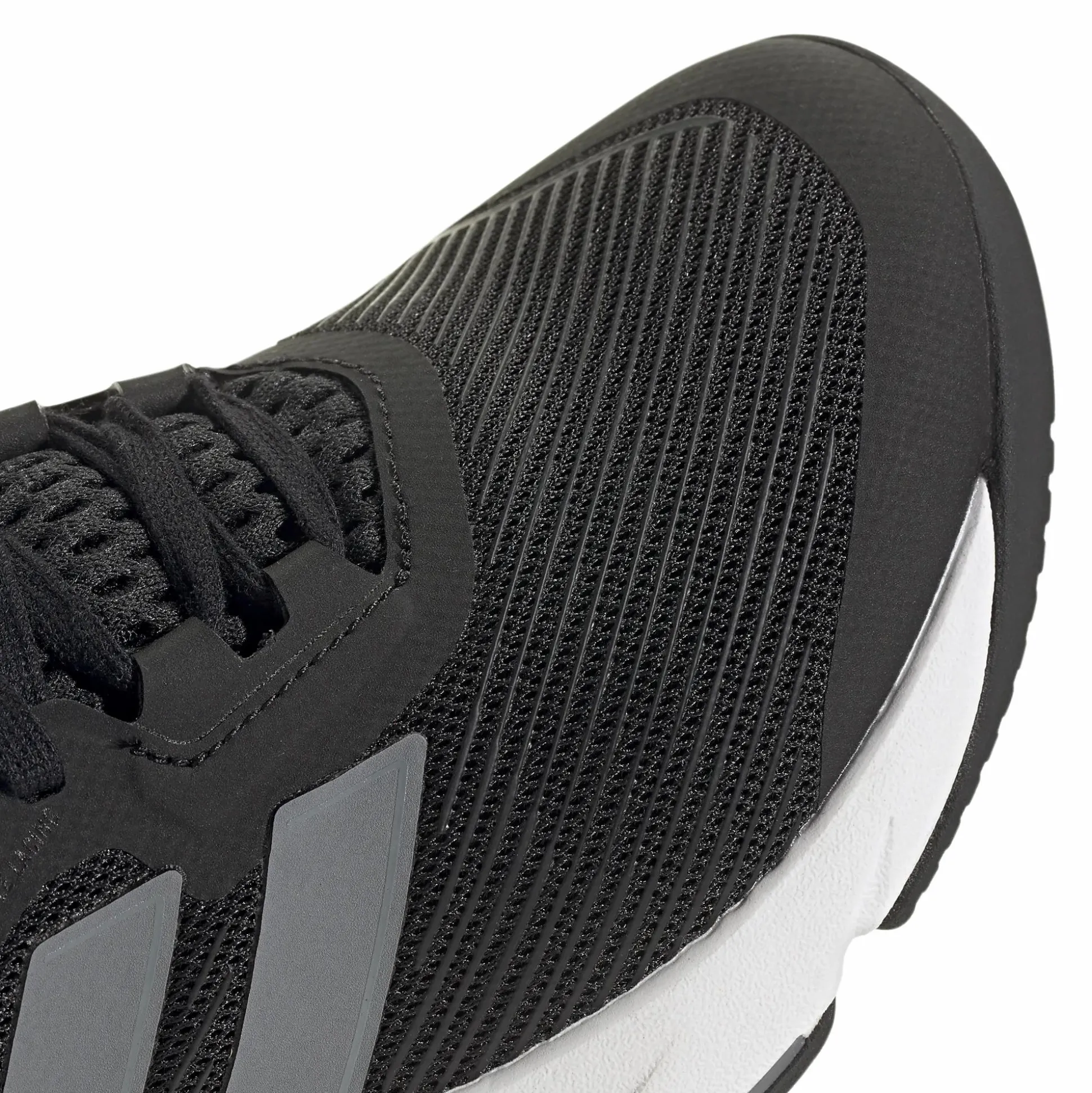 rapidmove 2 trainer w